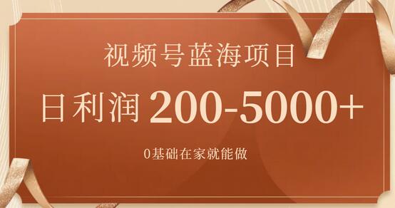 视频号蓝海项目,0基础在家也能做,日入200-5000+【附266G资料】-冒泡网