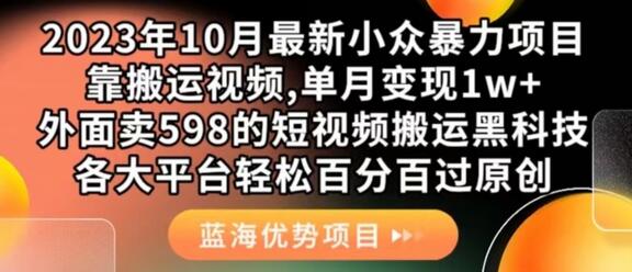2023年10月最新小众暴力项目，靠搬运视频,单月变现1w+，外面卖598的短视频搬运，各大平台轻松百分百过原创-冒泡网