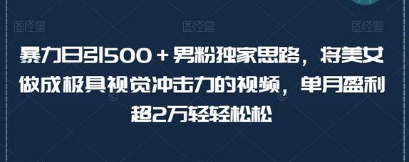 暴力日引500+男粉独家思路,将美女做成极具视觉冲击力的视频,单月盈利超2万轻轻松松-冒泡网