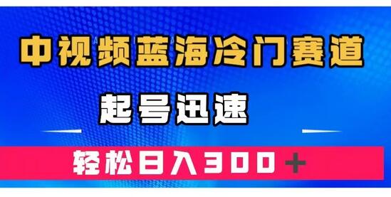 中视频蓝海冷门赛道，韩国视频奇闻解说，起号迅速，日入300＋-冒泡网