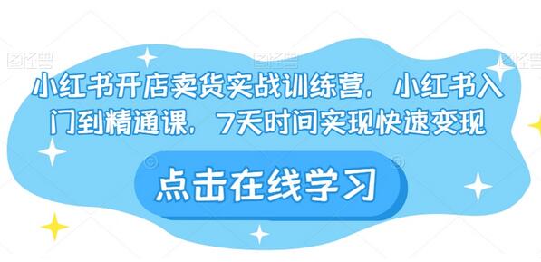 小红书开店卖货实战训练营，小红书入门到精通课，7天时间实现快速变现-冒泡网