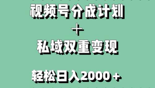 视频号分成计划+私域双重变现,轻松日入1000+,无任何门槛,小白轻松上手-冒泡网