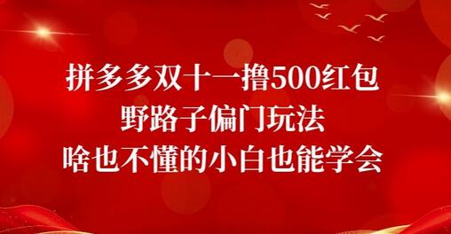 拼多多双十一撸500红包野路子偏门玩法,啥也不懂的小白也能学会-冒泡网