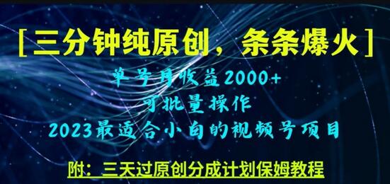 三分钟制作视频号纯原创,条条爆款,轻松月入过万-冒泡网