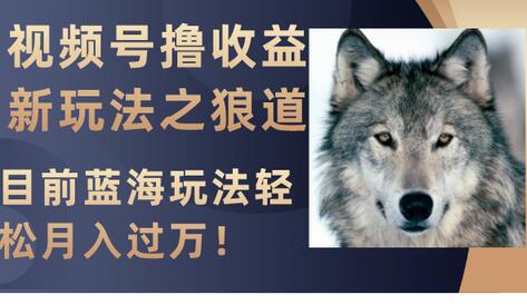 视频号撸收益新玩法之狼道，目前蓝海玩法轻松月入过万！-冒泡网