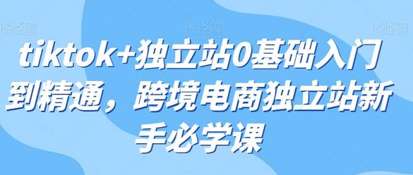 tiktok+独立站0基础入门到精通，跨境电商独立站新手必学课-冒泡网