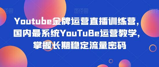 Youtube金牌运营直播训练营，国内最系统YouTuBe运营教学，掌握长期稳定流量密码-冒泡网