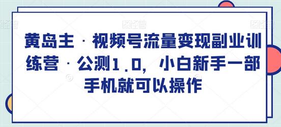 黄岛主·视频号流量变现副业训练营·公测1.0,小白新手一部手机就可以操作-冒泡网