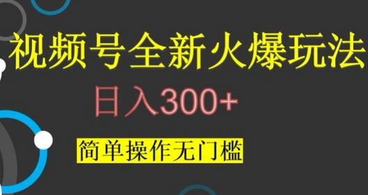 视频号最新爆火玩法,日入300+,简单操作无门槛-冒泡网