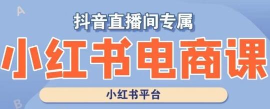 小红书电商高级运营课程，实操教学+案例分析-冒泡网