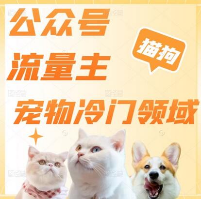 公众号流量主,萌宠冷门领域,单日收益2000+,简单暴力掘金,矩阵操作,无限放大收益!-冒泡网