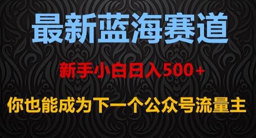 最新蓝海赛道，新手小白日入500+，你也能成为下一个公众号流量主-冒泡网