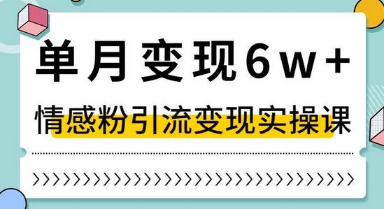 单月变现6W+,抖音情感粉引流变现实操课,小白可做,轻松上手,独家赛道-冒泡网