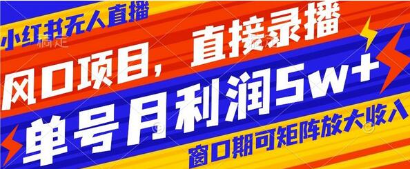 风口项目，小红书无人直播带货，直接录播，可矩阵，月入5w+-冒泡网