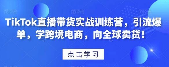 TikTok直播带货实战训练营，引流爆单，学跨境电商，向全球卖货！-冒泡网
