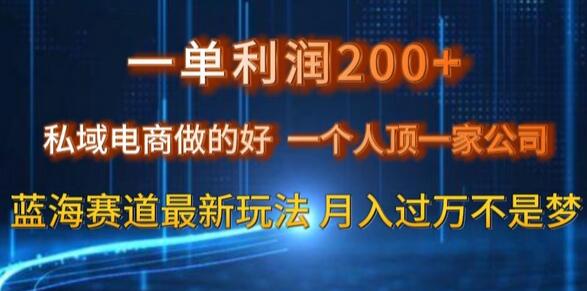 一单利润200私域电商做的好,一个人顶一家公司蓝海赛道最新玩法-冒泡网