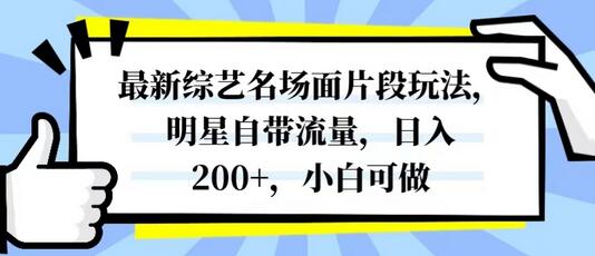 最新综艺名场面片段玩法,明星自带流量,日入200+,小白可做-冒泡网