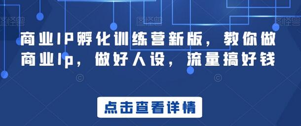 商业IP孵化训练营新版,教你做商业Ip,做好人设,流量搞好钱-冒泡网