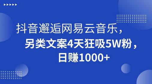 抖音邂逅网易云音乐,另类文案4天狂吸5W粉,日赚1000+-冒泡网