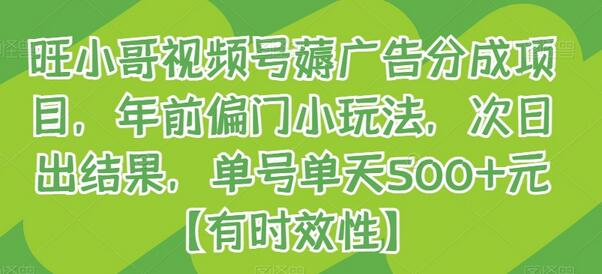旺小哥视频号薅广告分成项目，年前偏门小玩法，次日出结果，单号单天500+元【有时效性】-冒泡网