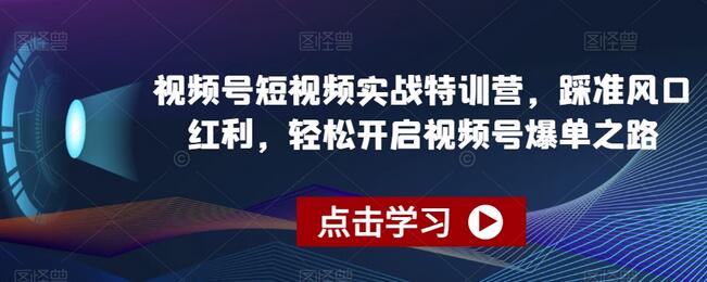 视频号短视频实战特训营，踩准风口红利，轻松开启视频号爆单之路-冒泡网