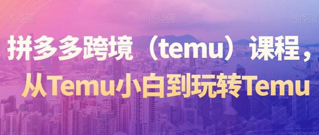 拼多多跨境(temu)课程,从Temu小白到玩转Temu-冒泡网