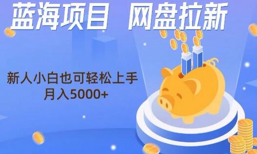 蓝海项目网盘拉新,新人小白也可操作,每月收入5000+-冒泡网