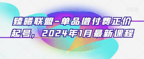 臻曦联盟-单品微付费正价起号,年1月最新课程-冒泡网