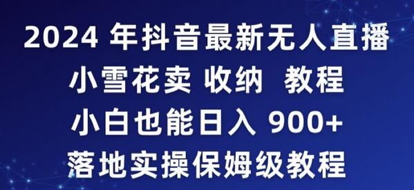 年抖音最新无人直播小雪花卖收纳教程,小白也能日入900+落地实操保姆级教程-冒泡网