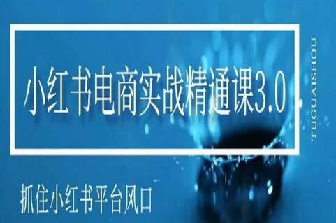 小红书电商实战精通课3.0,抓住小红书平台的风口,不错过有一个赚钱的机会-冒泡网