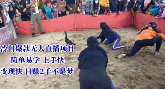 冷门爆款无人直播项目，简单易学上手快，变现快日赚2千不是梦-冒泡网