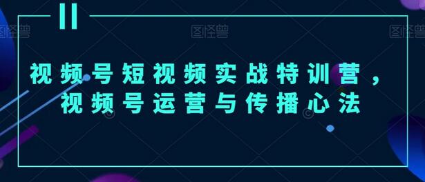 视频号短视频实战特训营，视频号运营与传播心法-冒泡网