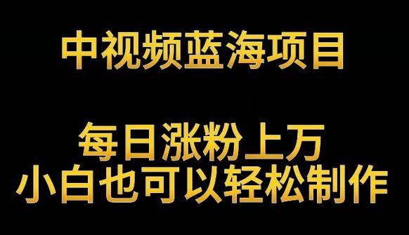 中视频蓝海项目,解读英雄人物生平,每日涨粉上万,小白也可以轻松制作,月入过万不是梦-冒泡网