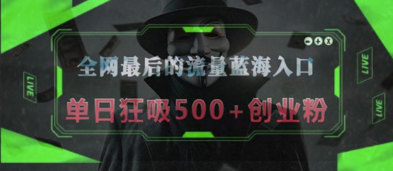 全网最后的流量蓝海入口，半小时引流50+创业粉，单日狂吸500+创业粉-冒泡网