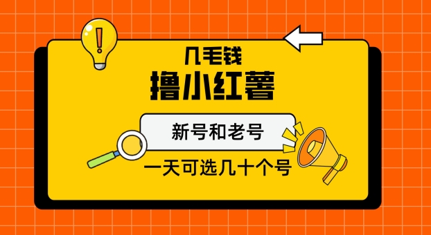 几毛钱撸小红书纯新号和老号，保姆级教程-冒泡网