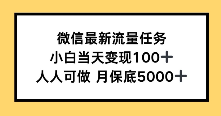 微信最新流量任务,小白当天变现100+,人人可做-冒泡网