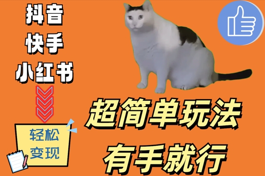超简单玩法，有手就行，靠猫咪视频日入500+【揭秘】-冒泡网