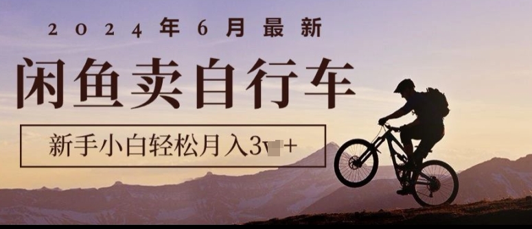年6月最新闲鱼卖自行车,新手小白轻松月入1w+,无风险项目-冒泡网