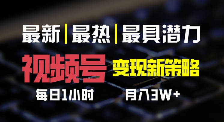 视频号变现新策略，每日一小时月入过万-冒泡网