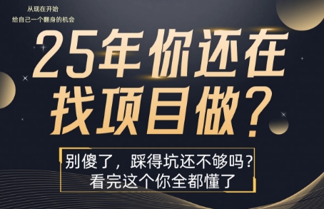 25年,你还在疯狂的找项目吗?别傻了,看完这个你都懂了【揭秘】-冒泡网