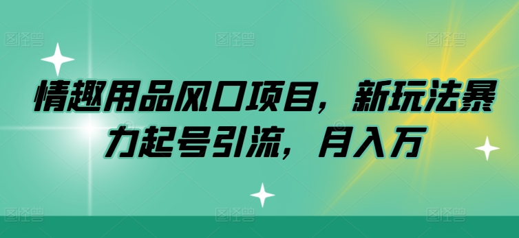 情趣用品风口项目，新玩法暴力起号引流，月入万-冒泡网