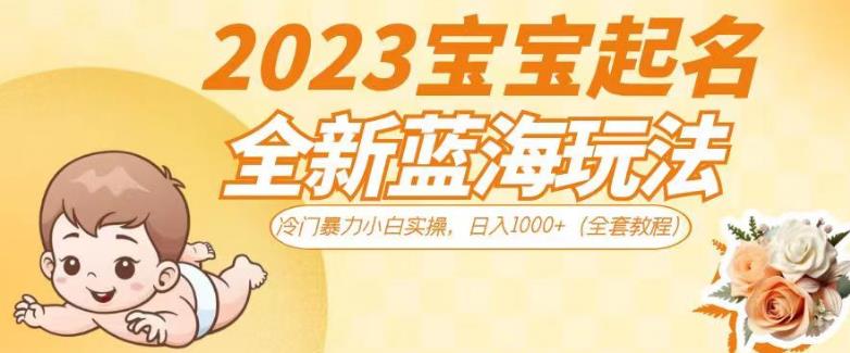2023宝宝起名全新蓝海玩法，冷门暴力小白实操，日入1000+（全套教程）【揭秘】-冒泡网