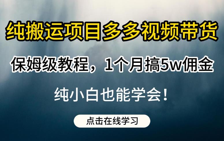 纯搬运项目多多视频带货保姆级教程，1个月搞5w佣金，纯小白也能学会【揭秘】-冒泡网