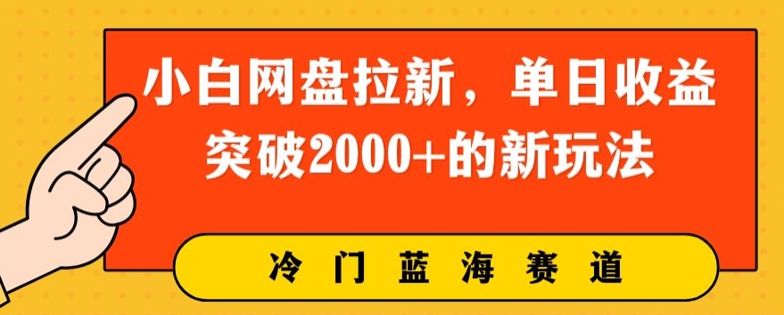 小白网盘拉新,单日收益突破2000+的新玩法-冒泡网