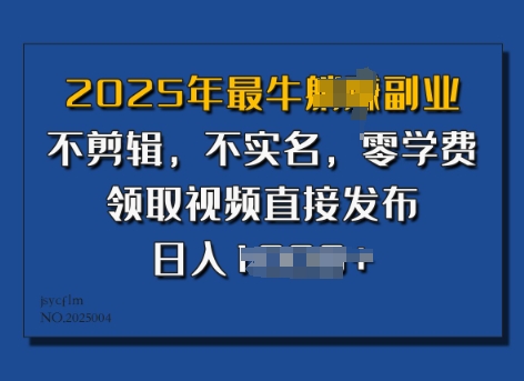 2025年最牛副业,不剪辑,不实名,零学费,零粉可做,领取视频直接发布,有播放就有收益-冒泡网