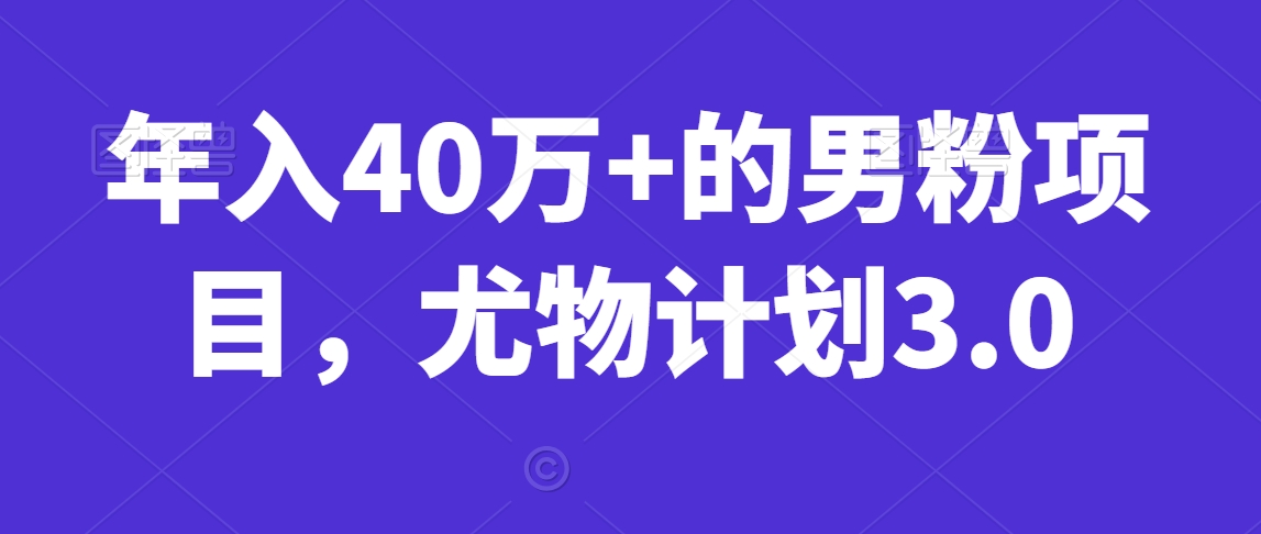 年入40万+的男粉项目,尤物计划3.0-冒泡网