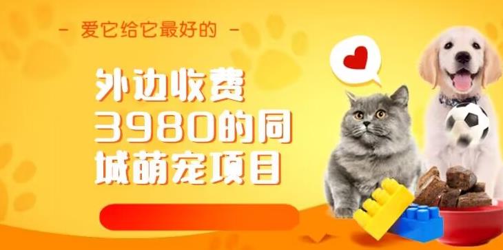 外边收费3980的同城萌宠项目，用最冷门的玩法冲击最热门的市场【揭秘】-冒泡网