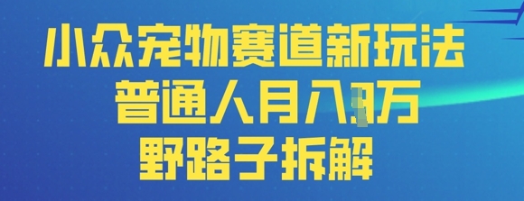 小众宠物赛道新玩法，普通人月入过1W的野路子拆解-冒泡网