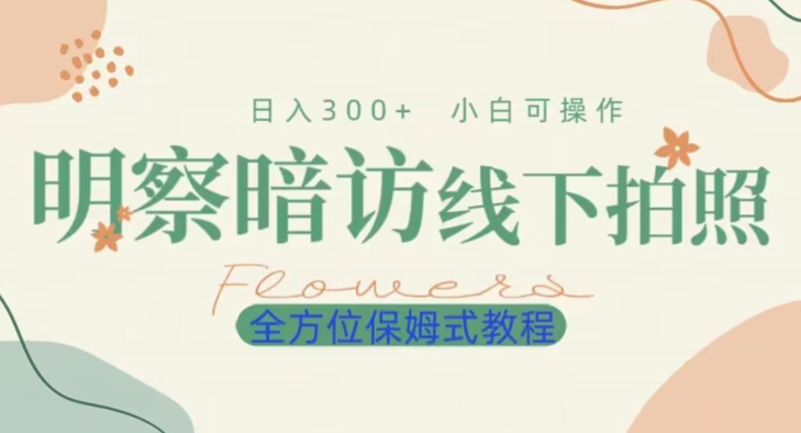 明拍暗拍项目0成本投入日入300+小白可操作保姆式全方位教程-冒泡网