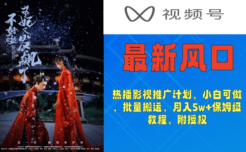 视频号最新风口,热播影视推广计划,小白可做,批量搬运,月入5w+保姆级教程,附授权-冒泡网